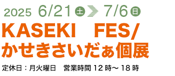 KASEKI　FES/かせきさいだぁ個展